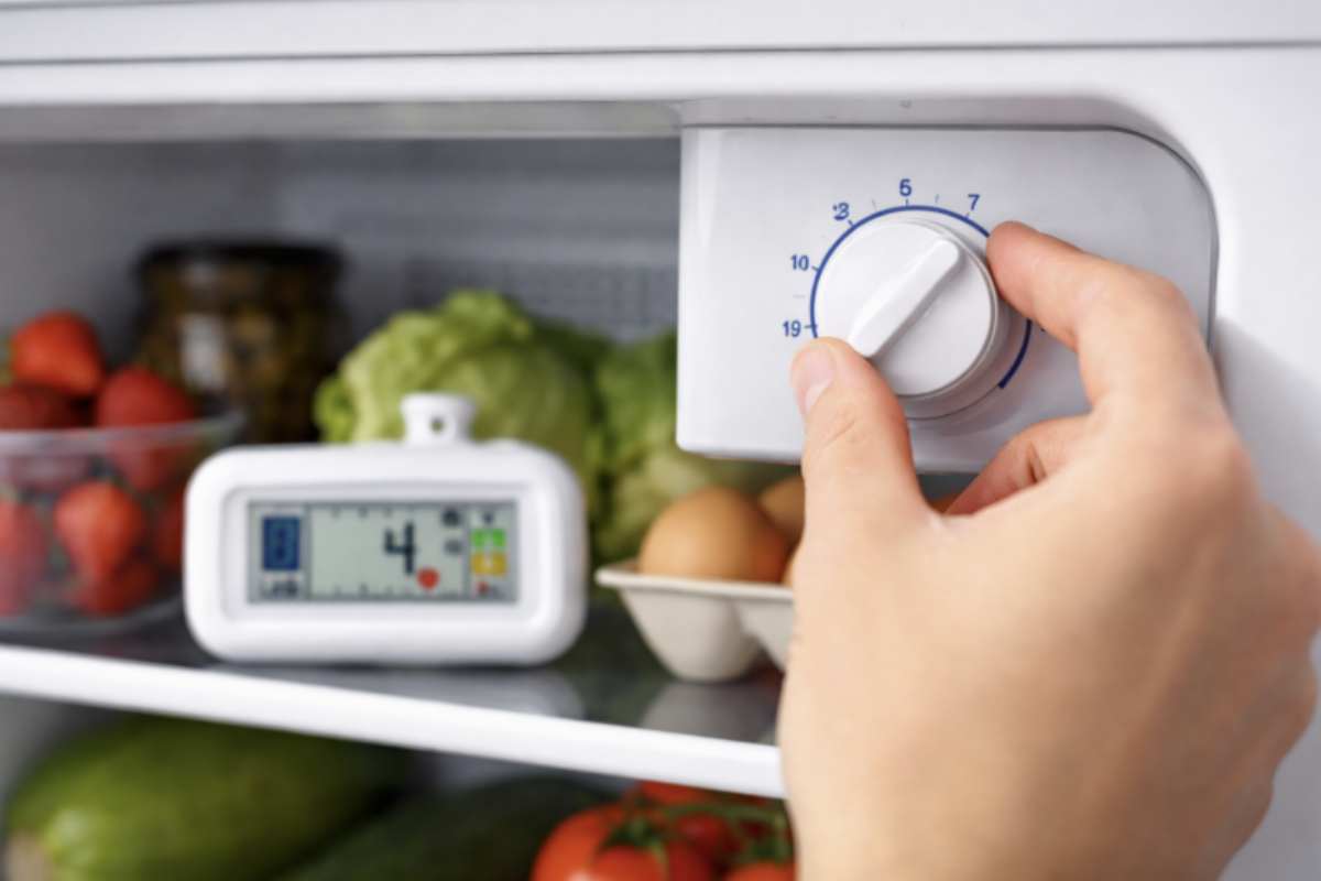 Il punto da chiarire è semplice ma spesso ignorato: i numeri presenti sulla manopola del frigorifero non indicano la temperatura.