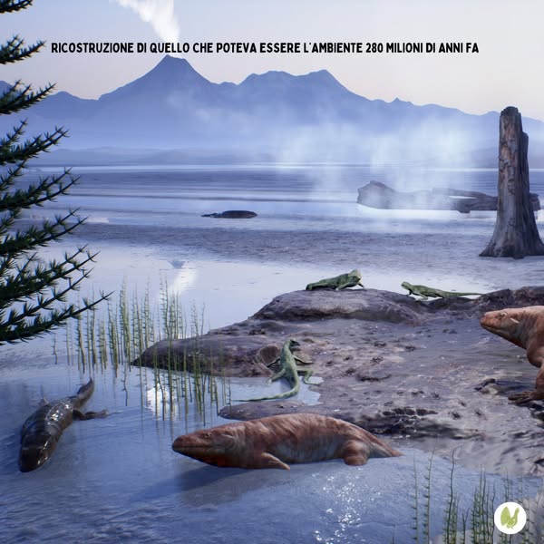 Impronte fossili Orobie