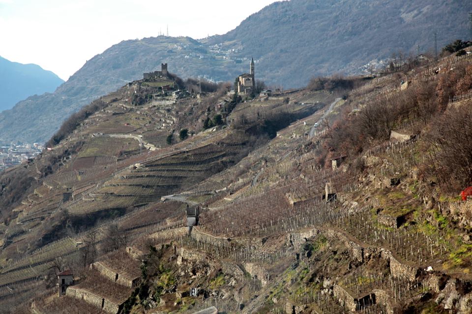 Muretti Valtellina