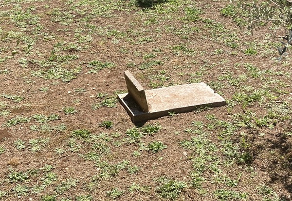 Sepoltura animali in giardino