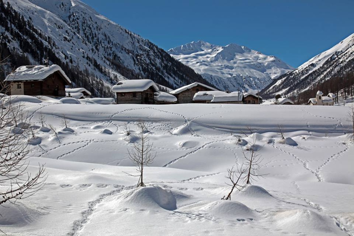 borgo bianco valtellina
