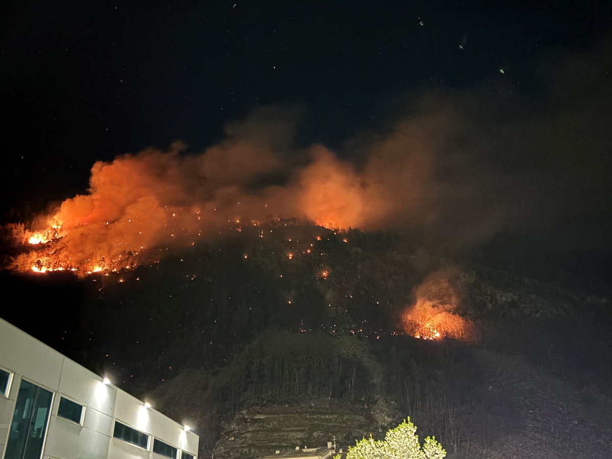 incendio del bosco brusio