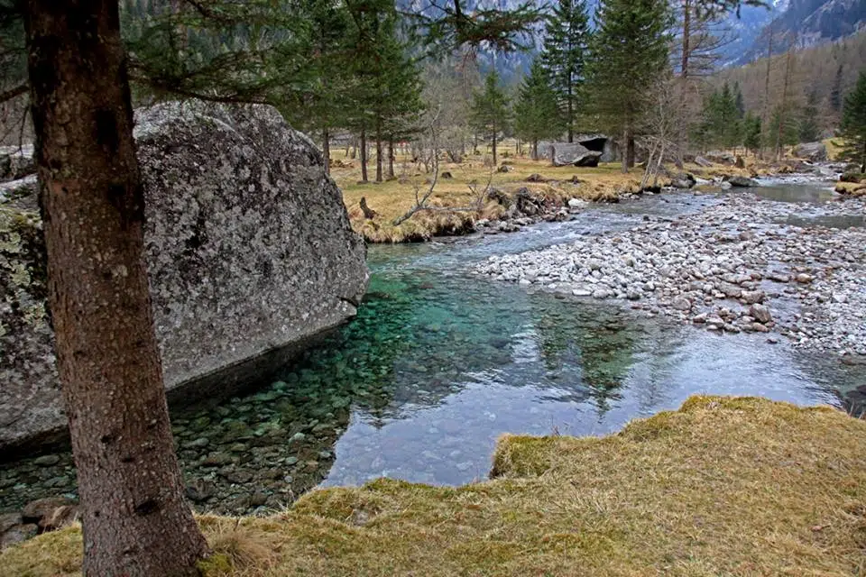 paese più verde Valtellina