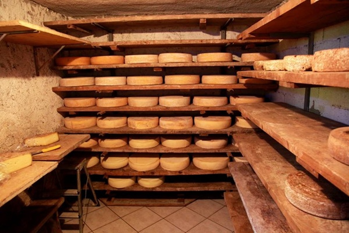 stagionatura formaggi