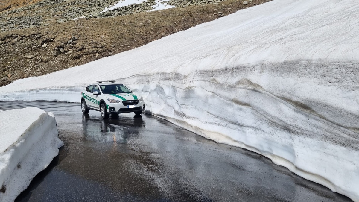 apertura passo gavia 2026