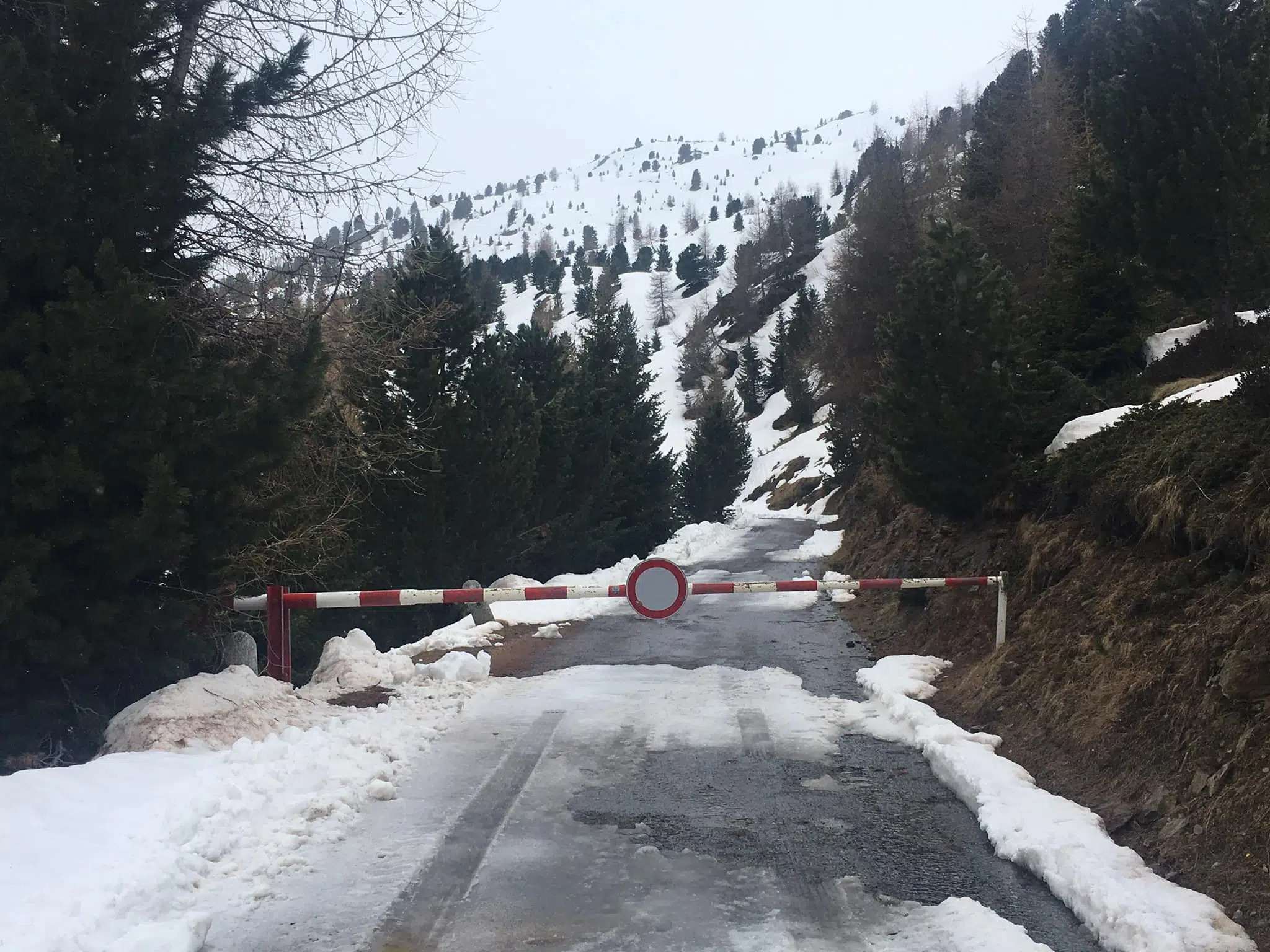 passo gavia