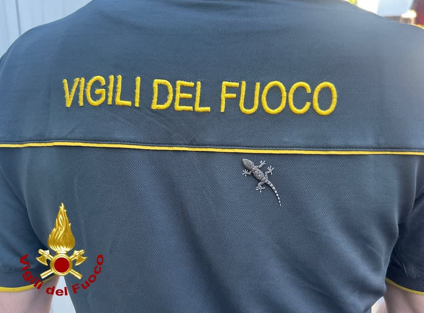 Elicottero Drago