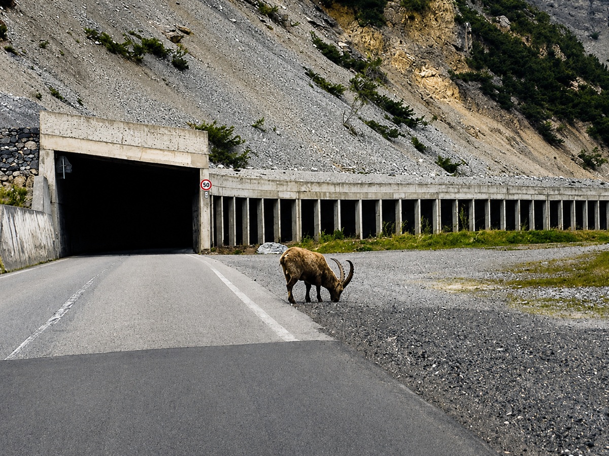 Dove parcheggiare gratis a Livigno