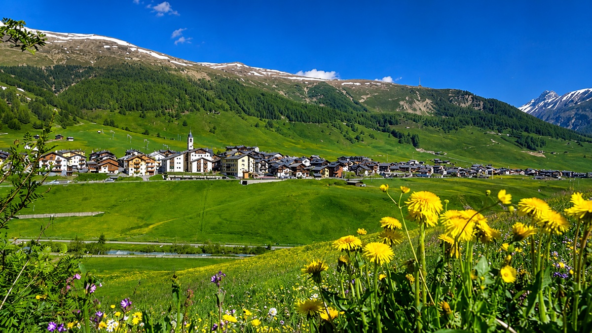 Prezzo benzina Livigno oggi