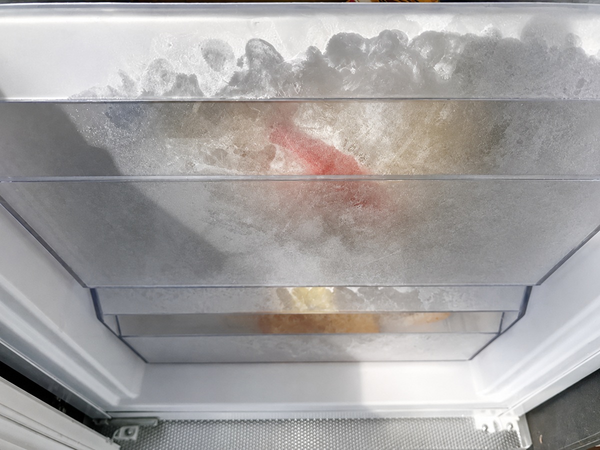 Quanto dura il cibo congelato