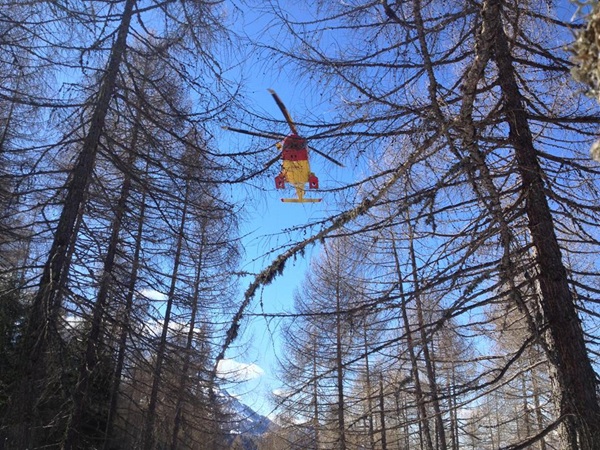 bosco ad Andalo Valtellino