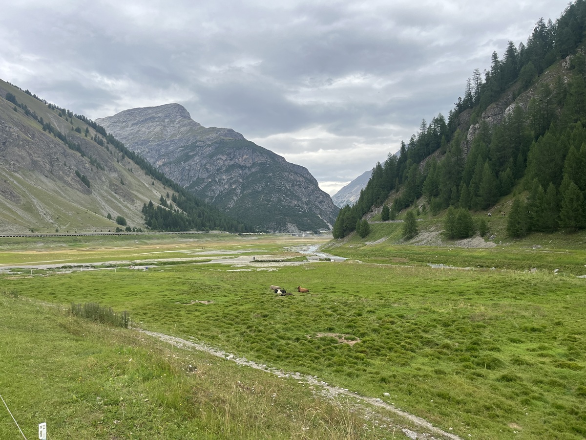 lago livigno