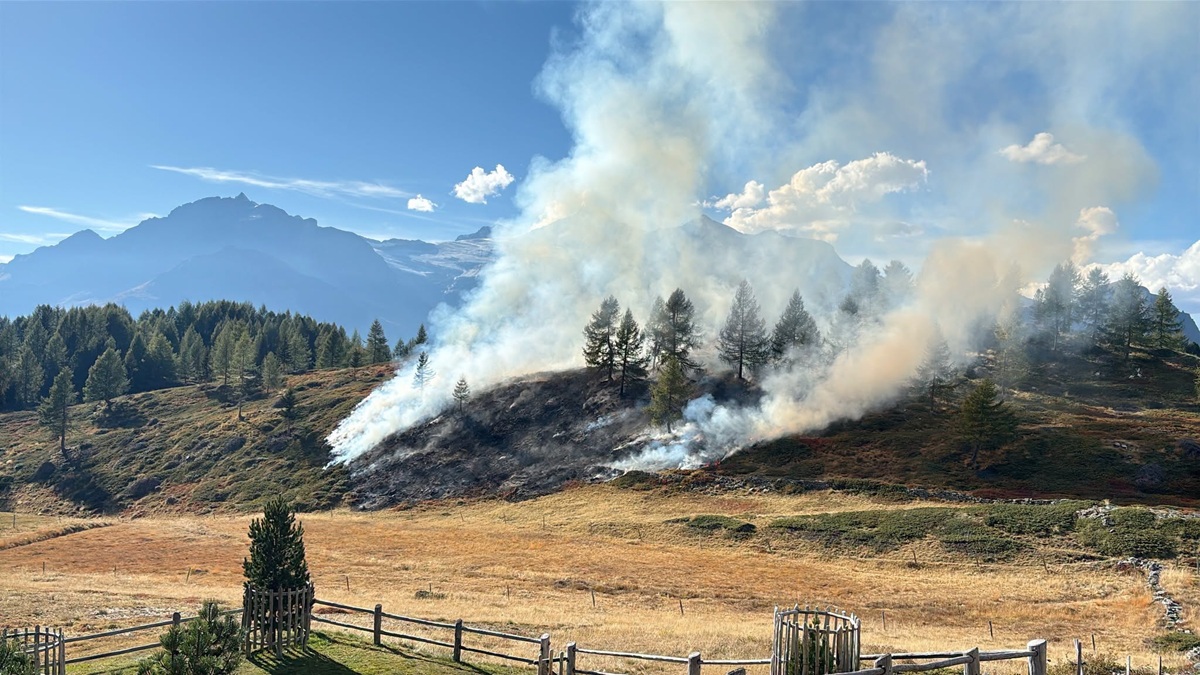 Incendio in un bosco