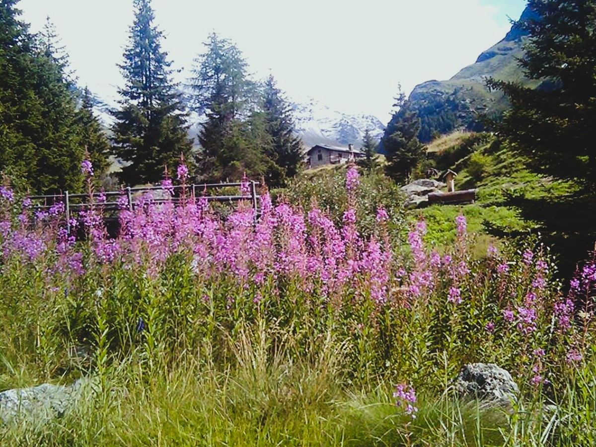 la valle segreta