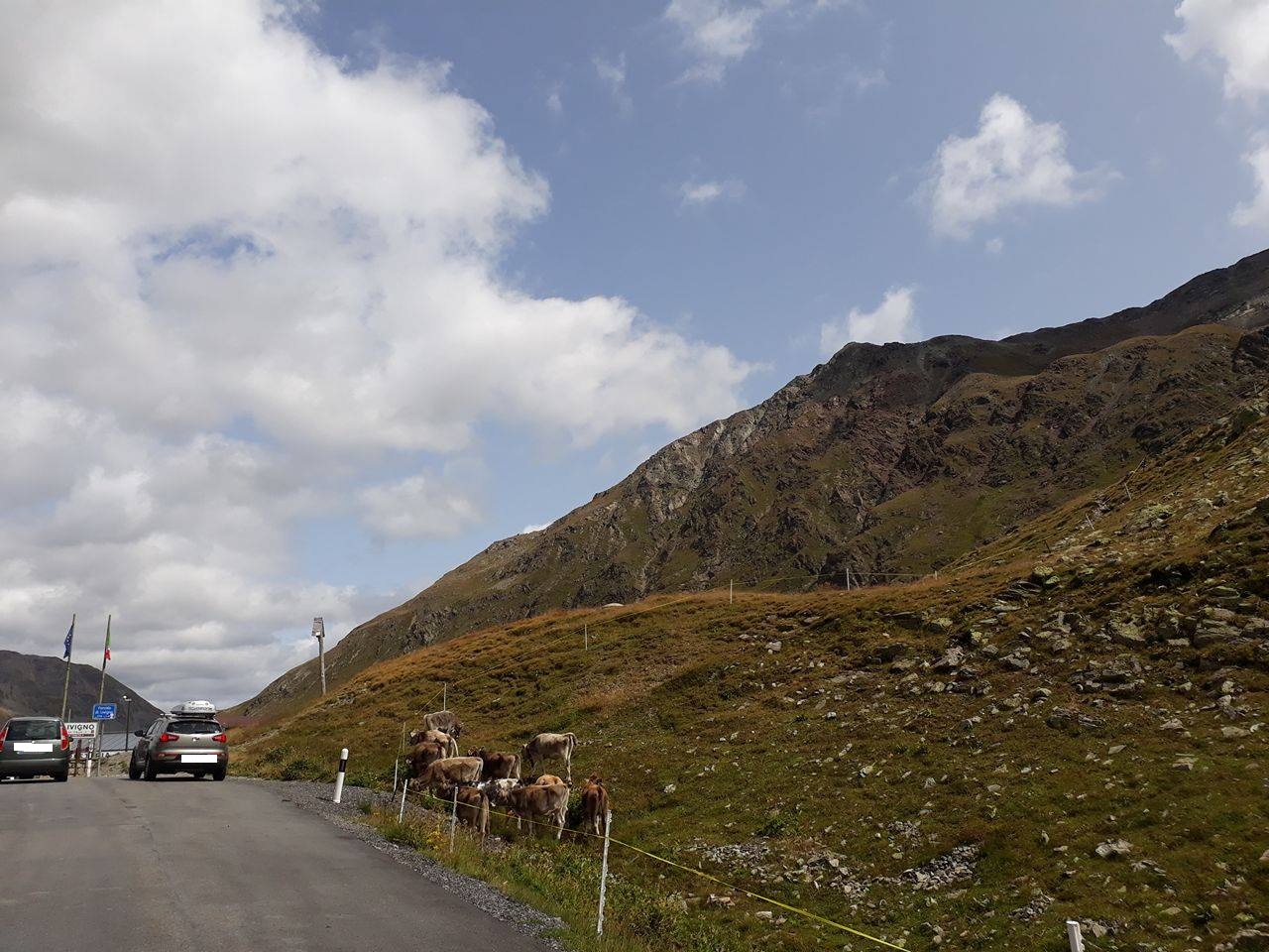 raggiungere livigno