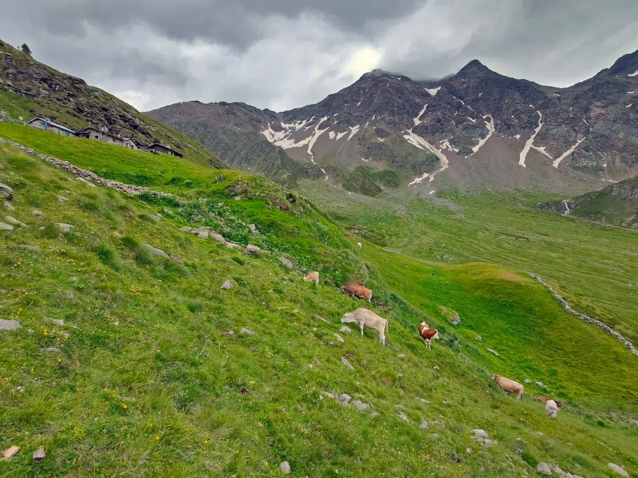 settembre in valtellina