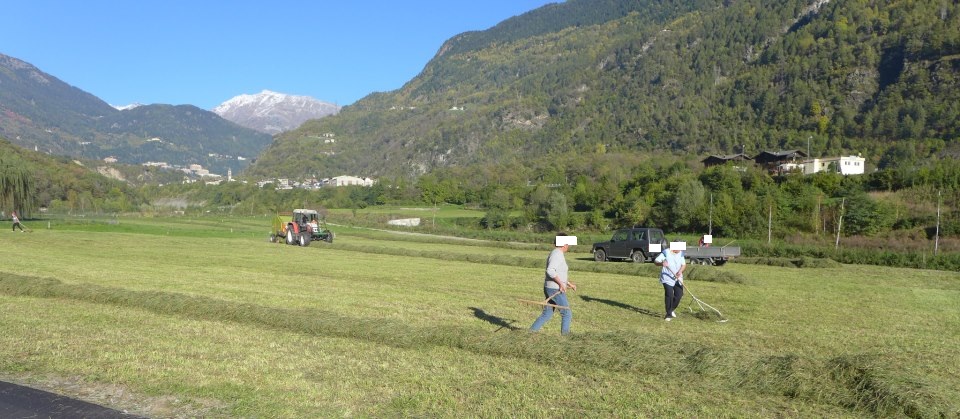 Lavoro giovani a Sondrio