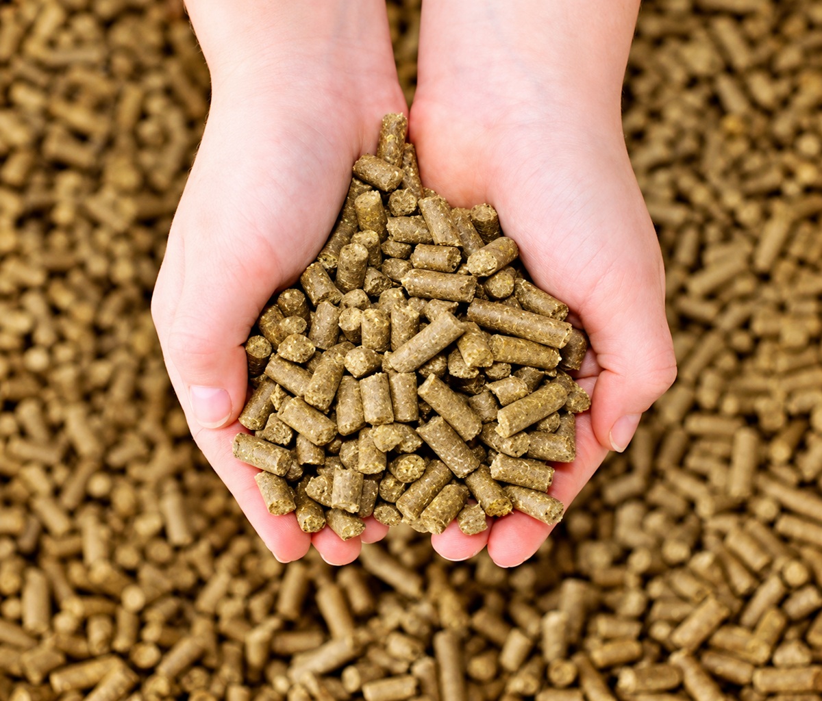 Pellet di canapa