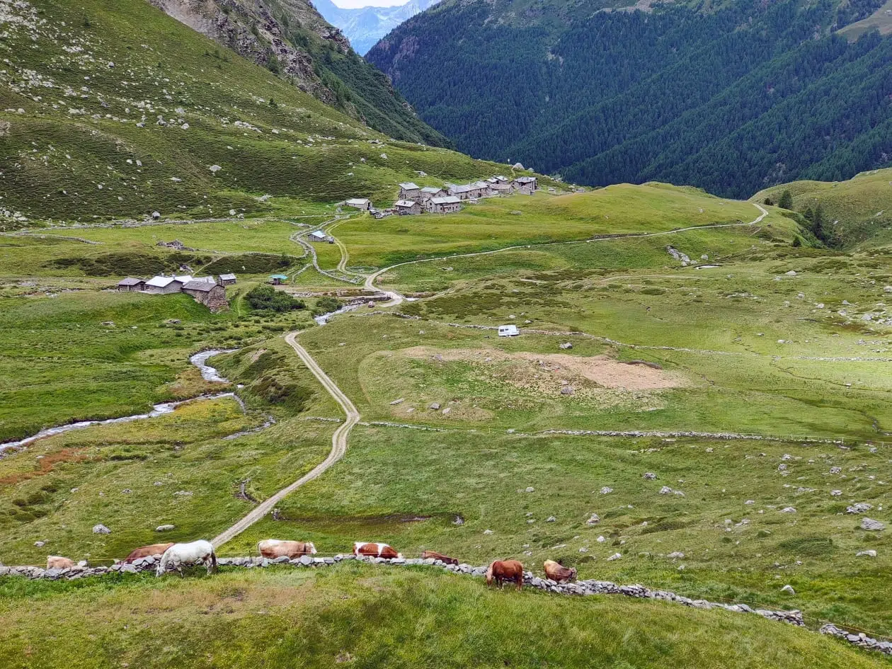 Scopri la Val di Rezzalo