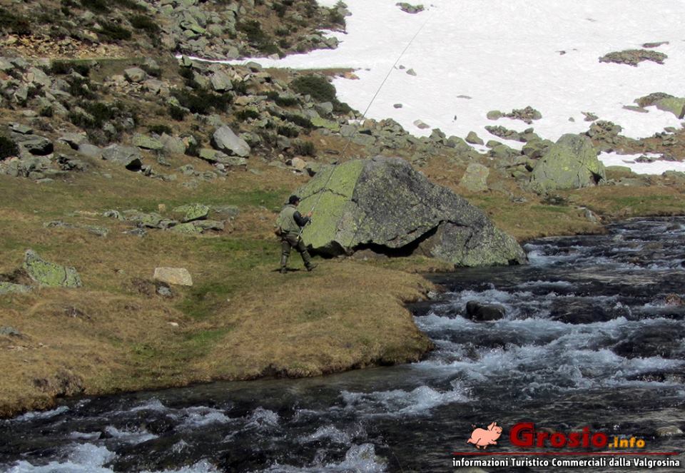 Stagione pesca provincia Sondrio
