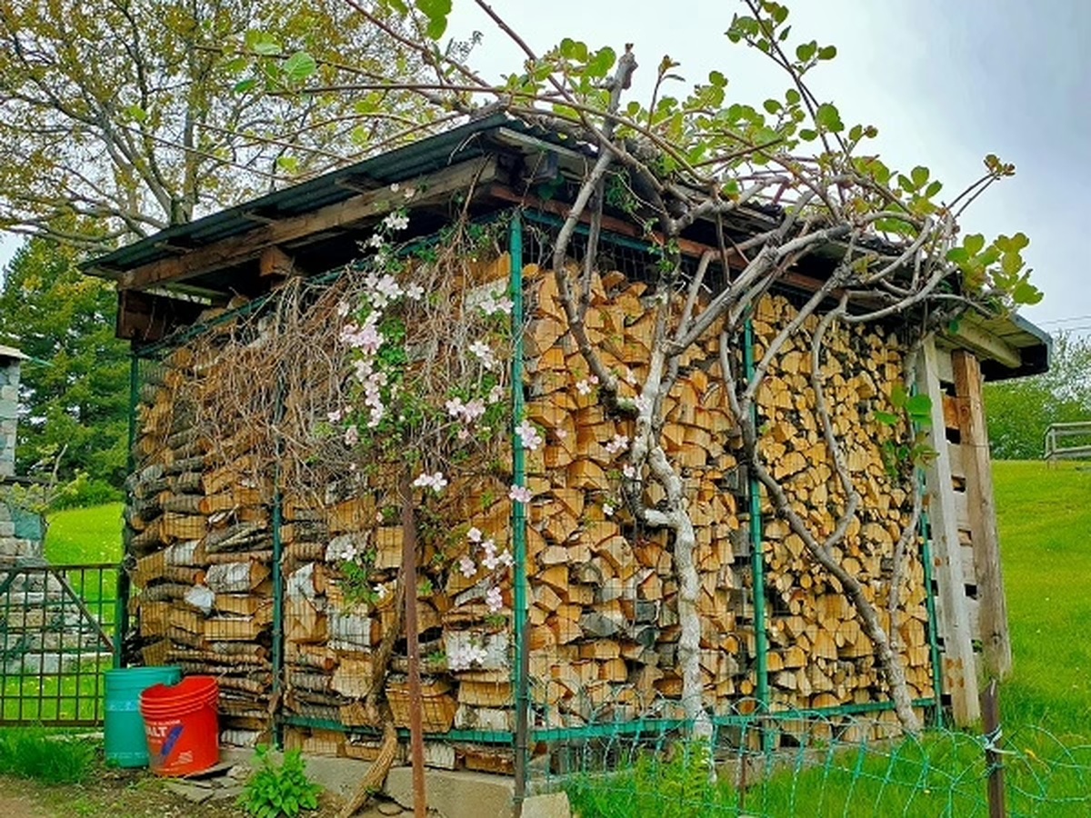 Stufe e camini in Lombardia