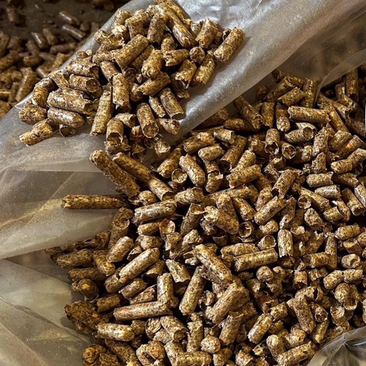 legna o pellet cosa conviene