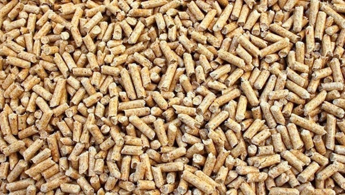 prezzo pellet inverno